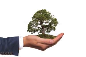 Five tips for building five key leadership skills – Part 2: Responsible citizenship