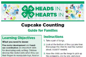 Heads In, Hearts In: Cupcake Counting