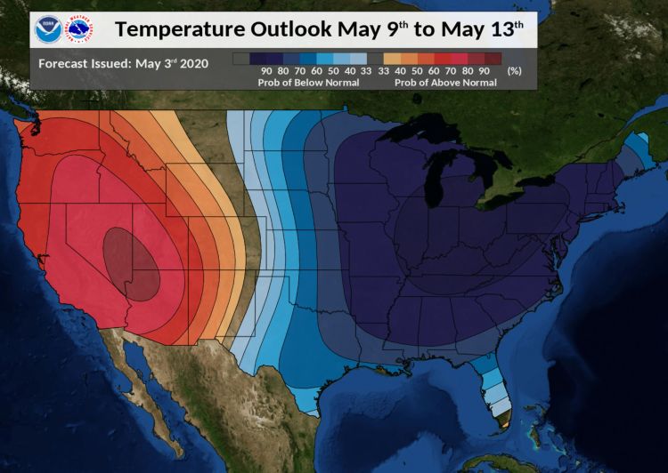 Temperature outlook over the US