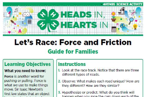 Heads In, Hearts In: Let's Race: Force and Friction