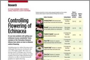 Controlling flowering of Echinacea
