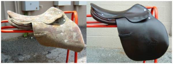 Horse saddle equipment outlet