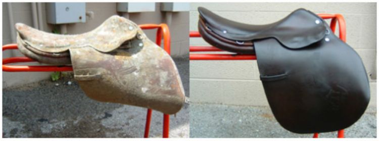 Horse online saddle supplies