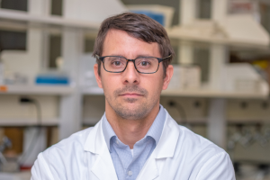 Examining how humans and animals manage chronic infections