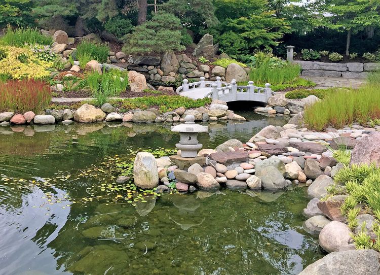 Water garden pond