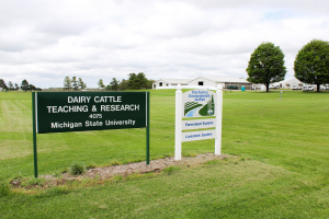 A year of changes at the MSU Dairy Farm