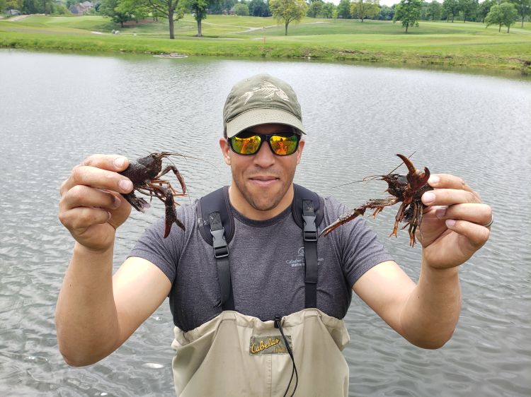 Fisheries and wildlife researcher partners with MDNR to study red swamp  crayfish - Department of Fisheries and Wildlife