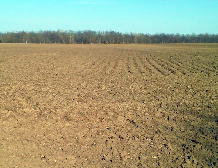 A field in Gratiot County with dry soil on the surface, taken April 9, 2014.