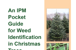 A Pocket Guide for IPM Weed Identification in Christmas Tree (E2975)