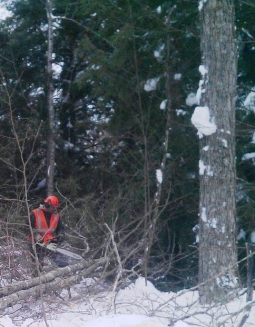 Cutting green wood Photo Credit: Mike Schira, Houghton County, 2014