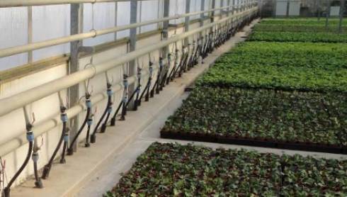 root zone heating