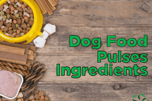 Dog Food – Pulses Ingredients
