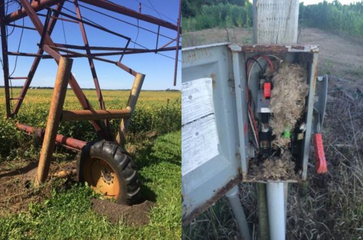 Irrigation Season Start With Inspections And Repairs Irrigation