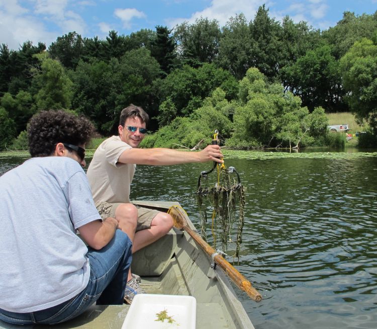 Institute participants collect plants to assess lake health. Photo credit: Jane Herbert l MSU Extension