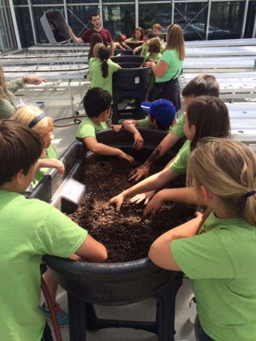 Lowell, Michigan Junior Master Gardeners getting their hands in the soil at the Grand Rapids Downtown Market Greenhouse.