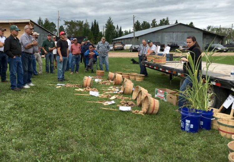 Erin Hill discussing the cover crop trials being conducted in the Upper Peninsula at the Upper Peninsula Potato Day. Photos: Monica Jean, MSU Extension.