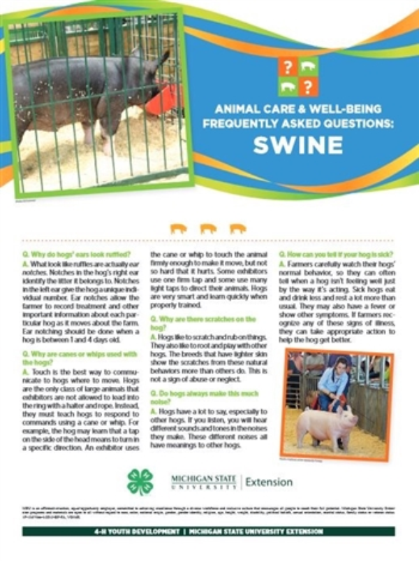 Poster with information on swine.