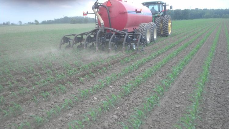 Planting the field with automatic guidance allowed for additional room and accuracy to sidress manure after corn was planted. | Michigan State University Extension.