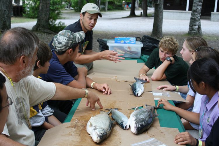 Michigan Sea Grant Extension educator Dan O'Keefe explains how to fillet a fish to campers at the 4-H Great Lakes and Natural Resources Camp. Photo: Michigan Sea Grant