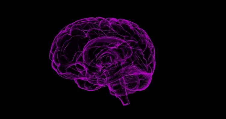 An image of a human brain outlined in purple on a black background.