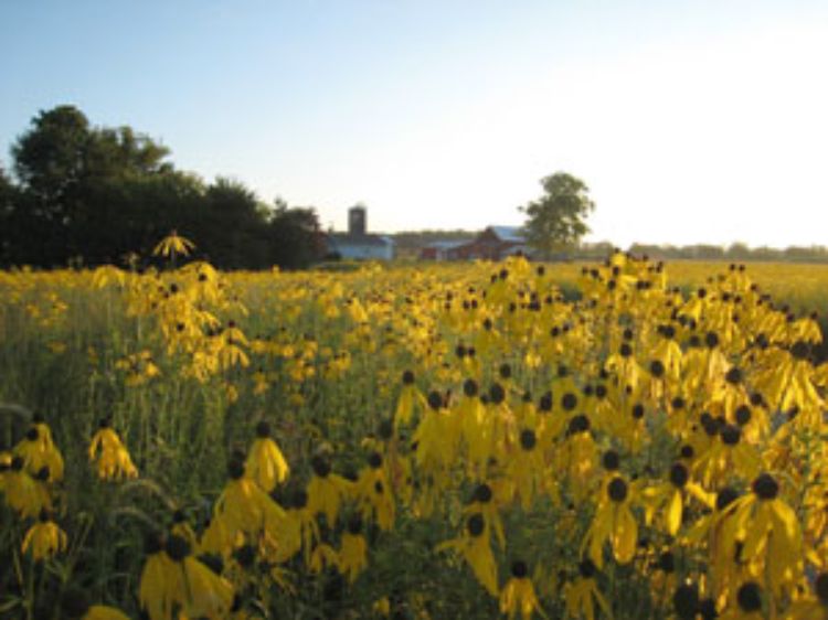 The food and agriculture industries contribute over $90 billion to Michigan's economy.