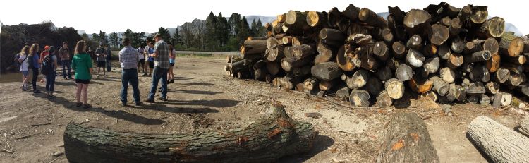 Dan Brown and students standing next to large lumber pile.