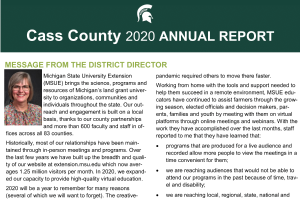 Cass County Annual Report 2020