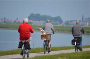 Staying active at any age: The importance of movement for health
