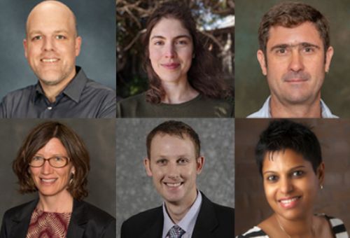 Daniel Chitwood, Ph.D., Kylie Clay, Ph.D., Ramjee P. Ghimire, Ph.D. (not pictured), Cedric Gondro, Ph.D., Krista Isaacs, Ph.D., Brent Ross, Ph.D., and Cholani Weebadde, Ph.D.