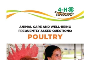 4-H Animal Care & Well-Being Bookmarks – Poultry 4H1703