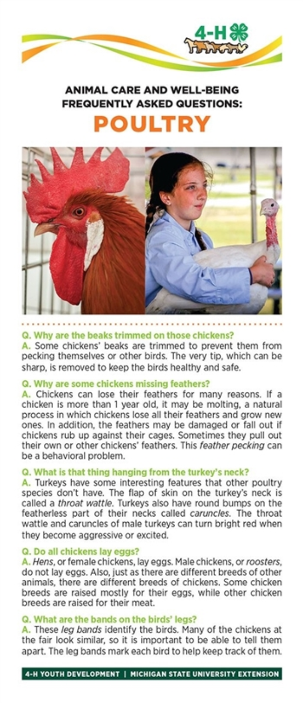 Photo of bookmark with information on poultry.