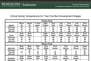 Critical Spring Temperatures for Tree Fruit Bud Development Stages