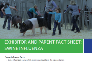 Exhibitor and Parent Fact Sheet: Swine Influenza