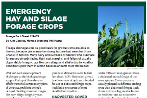 Emergency Hay and Silage Forage Crops