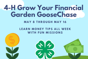 4-H Grow Your Financial Garden Goosechase