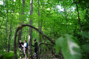 MSU researchers, DNR partner in one of the largest forest diversity studies in the nation