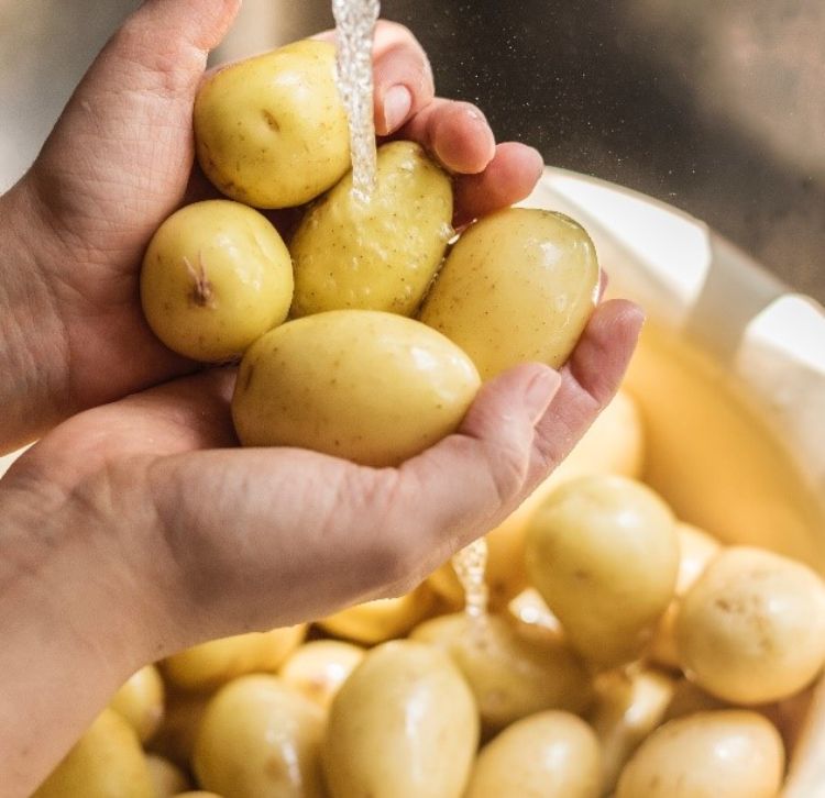 Two hands washing potatoes.