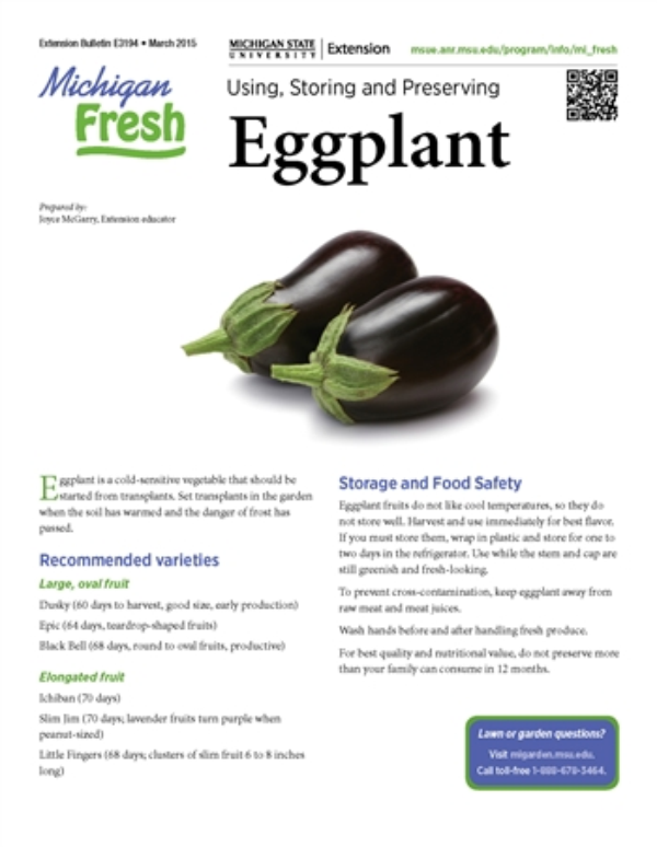 Michigan Fresh: Using, Storing, And Preserving Eggplant (E3194) - Msu  Extension