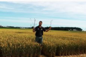 MSU Soil Fertility Extension YouTube Videos Now Available