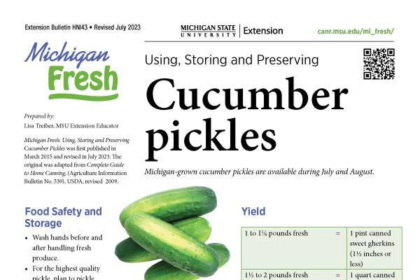 All About Cucumbers: From Origins to Uses