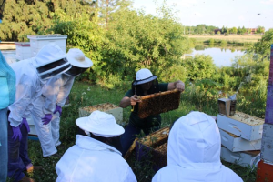 Heroes to Hives online program moves to Michigan Food & Farming Systems for the 2023 beekeeping season