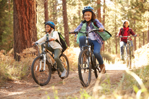 Assessing a community’s tourism fitness