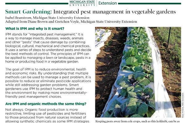 Smart Gardening: Integrated pest management in vegetable gardens ...