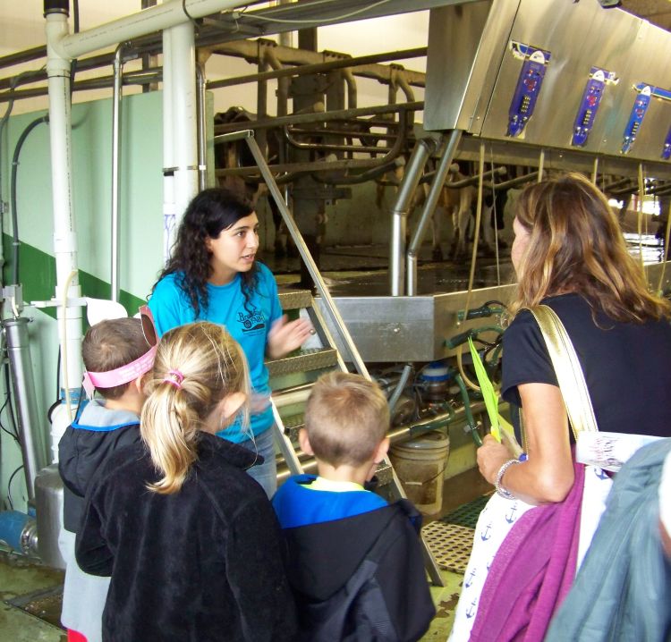 Paola Sanguesa, MSU Extension dairy educator, staffing an educational station in the milking parlor at Hood Farms Family Dairy on August 25, 2018.