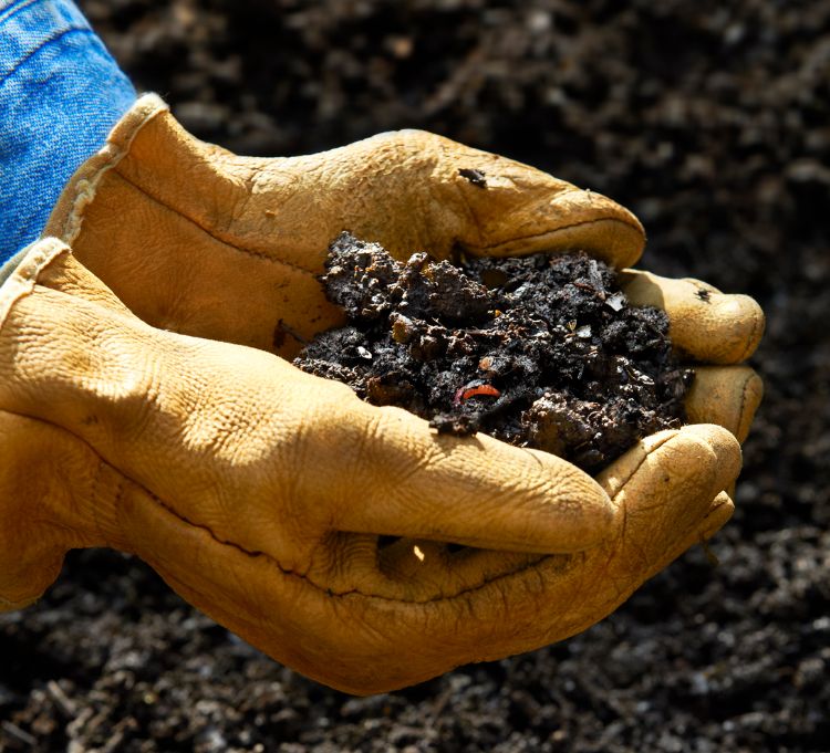 Smart soils should be loose and friable with visible clumping. Photo credit: John Burwell, Burwell Photography