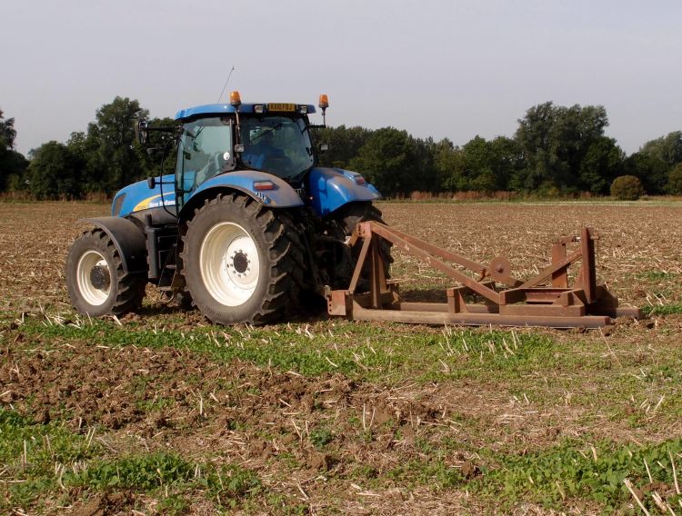 Ever Heard Of A Mole Drain Msu Extension