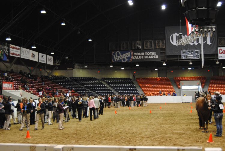 Follow these tips and resources on how to have a successful 4-H horse judging team.