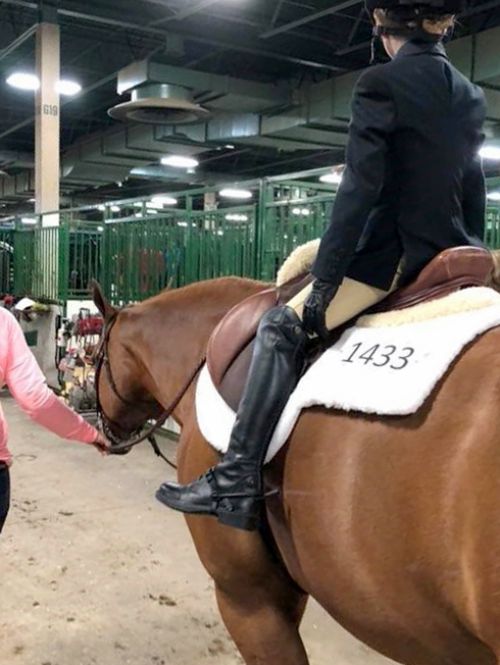 You can see here how a back number should be placed on this type of English saddle pad. Photo by Taylor Fabus, MSU Extension.