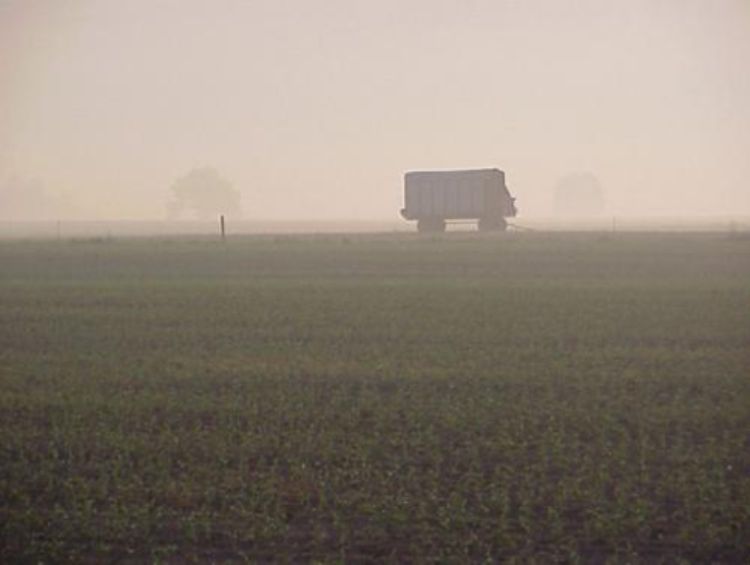 A picture of a large vehicle driving on a foggy morning across a field.