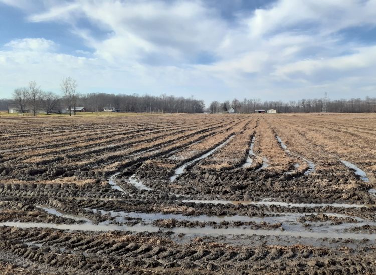 Repairing harvest ruts this spring - Field Crops